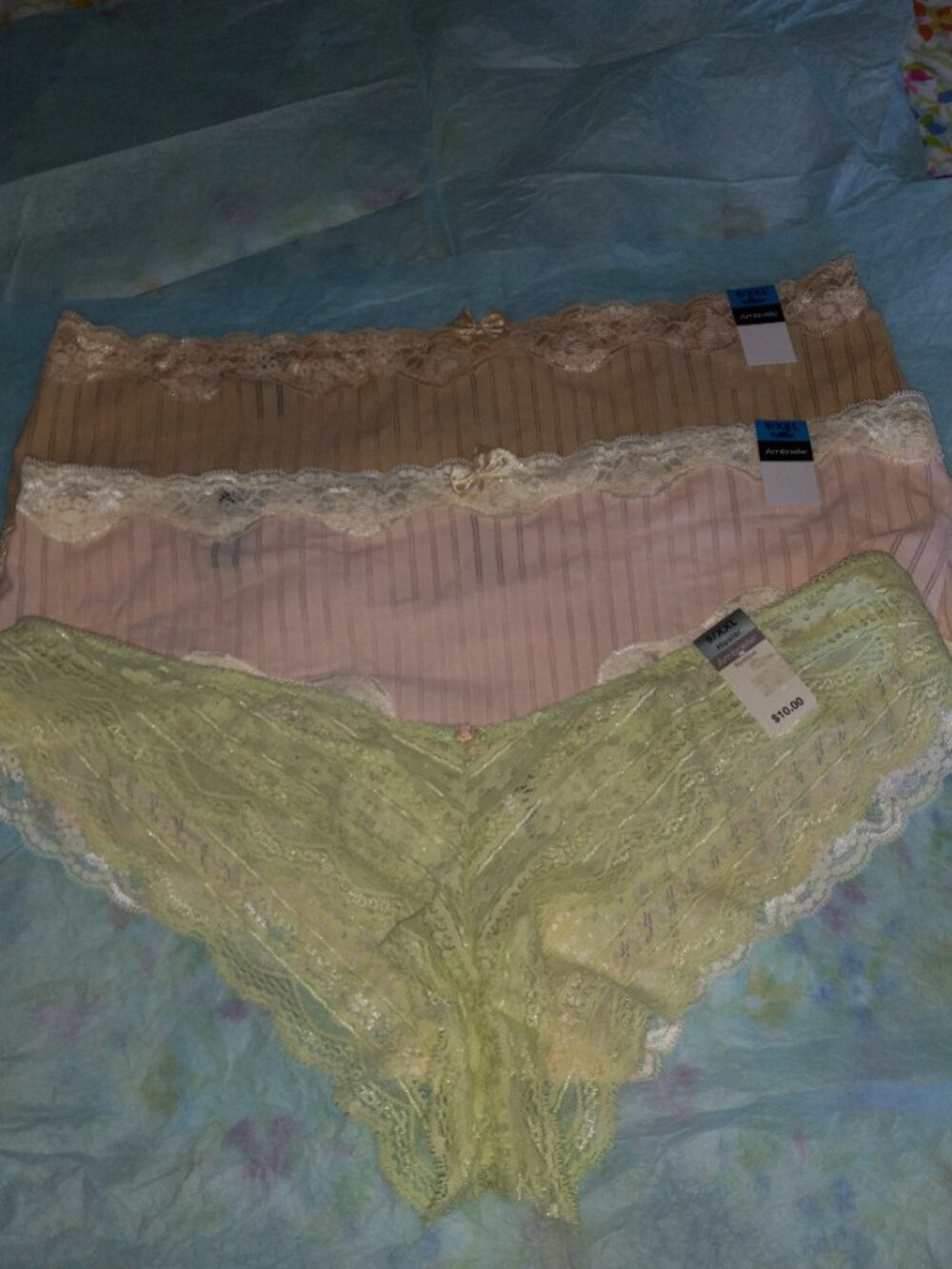 NWT 3 pair Ambrielle hipster panties size 9/xxl